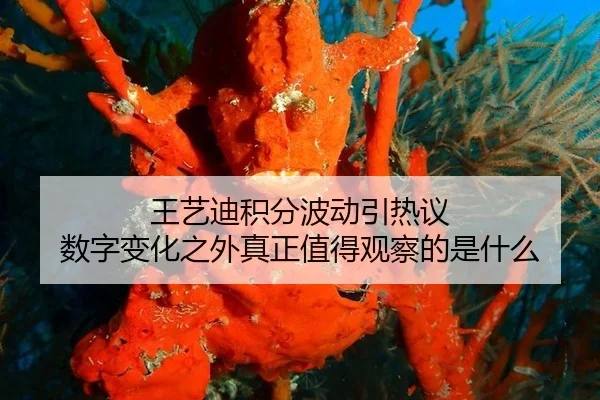 wang-yi-di-ji-fen-bo-dong-yin-re-yi-shu-zi-bian-hua-zhi-wai-zhen-zheng-zhi-de-guan-cha-de-shi-shen-me-2-315.jpg